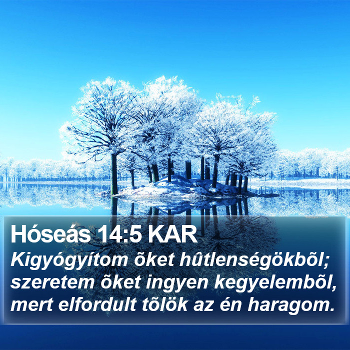 Hóseás 14:5 KAR Bible Study