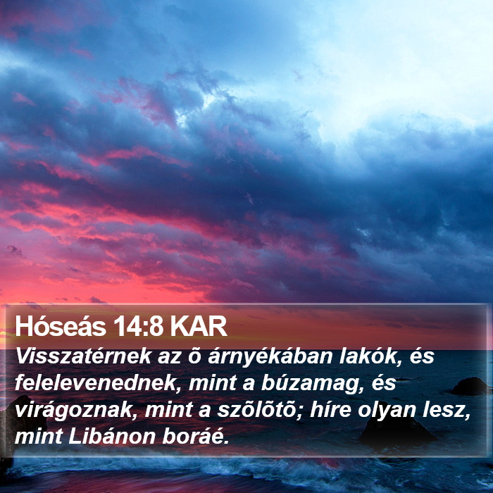 Hóseás 14:8 KAR Bible Study