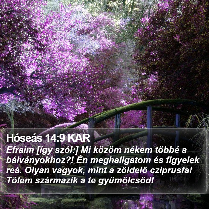 Hóseás 14:9 KAR Bible Study