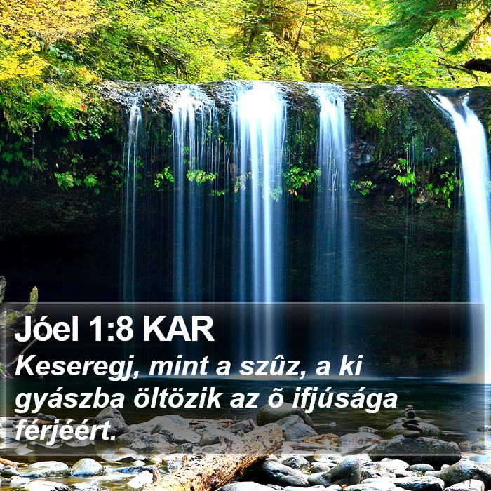 Jóel 1:8 KAR Bible Study