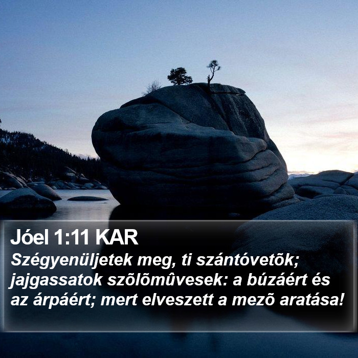 Jóel 1:11 KAR Bible Study