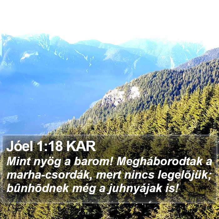 Jóel 1:18 KAR Bible Study