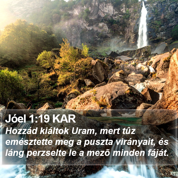 Jóel 1:19 KAR Bible Study