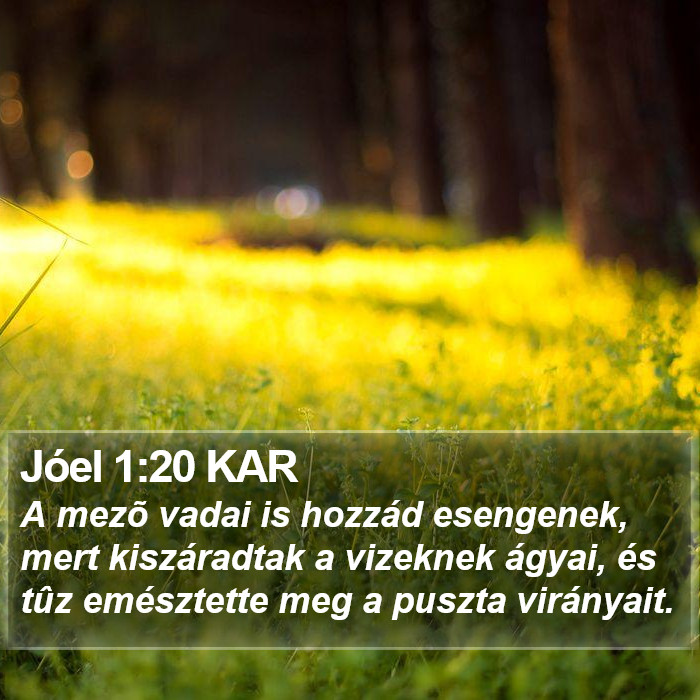 Jóel 1:20 KAR Bible Study