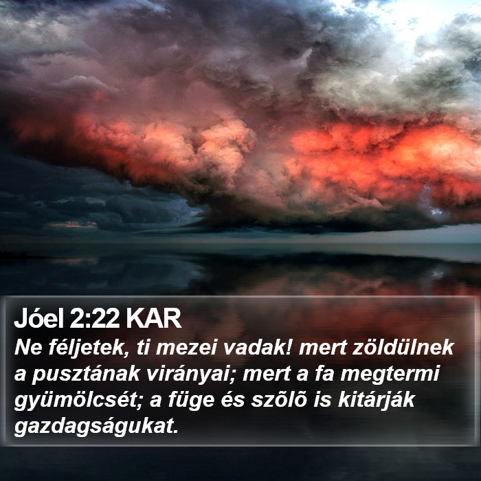 Jóel 2:22 KAR Bible Study