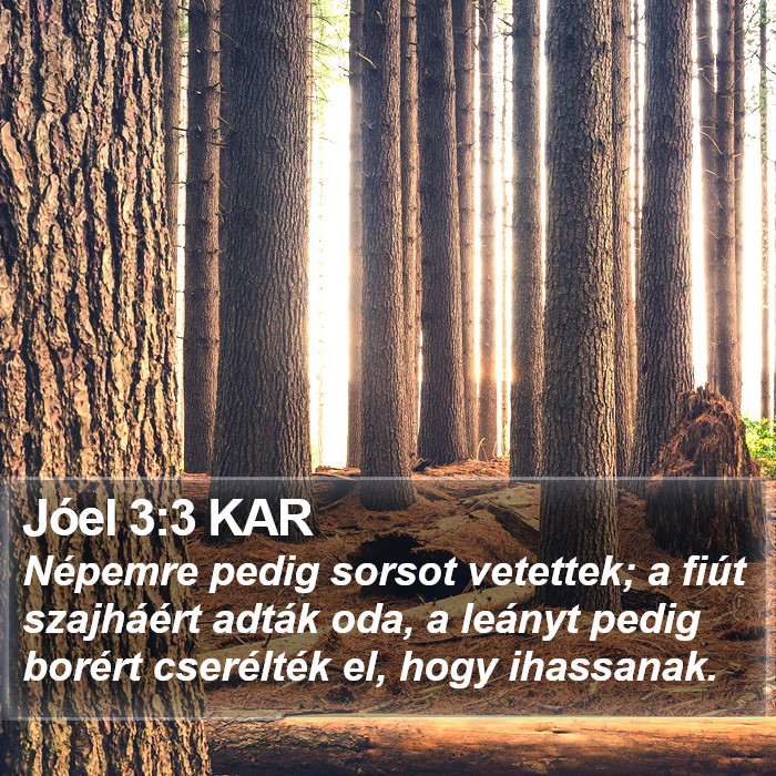 Jóel 3:3 KAR Bible Study