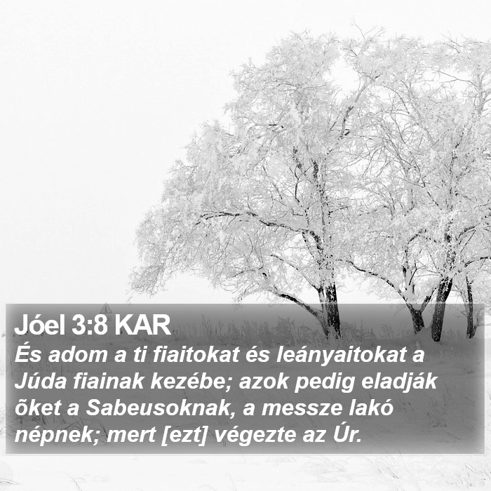 Jóel 3:8 KAR Bible Study