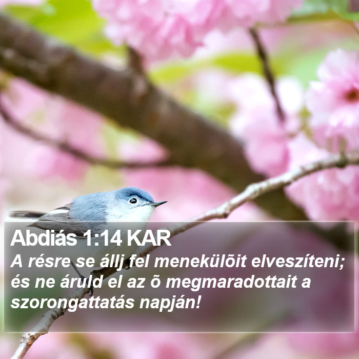 Abdiás 1:14 KAR Bible Study