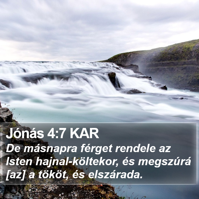 Jónás 4:7 KAR Bible Study