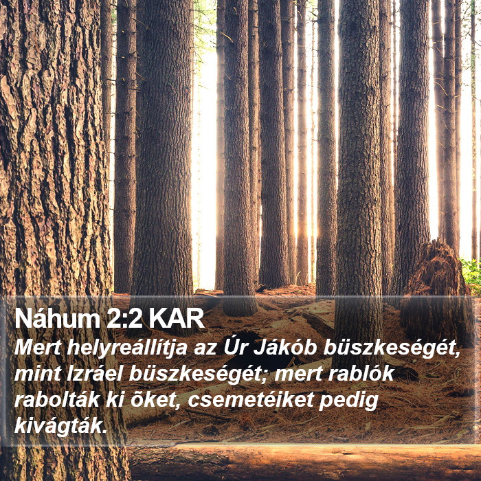 Náhum 2:2 KAR Bible Study