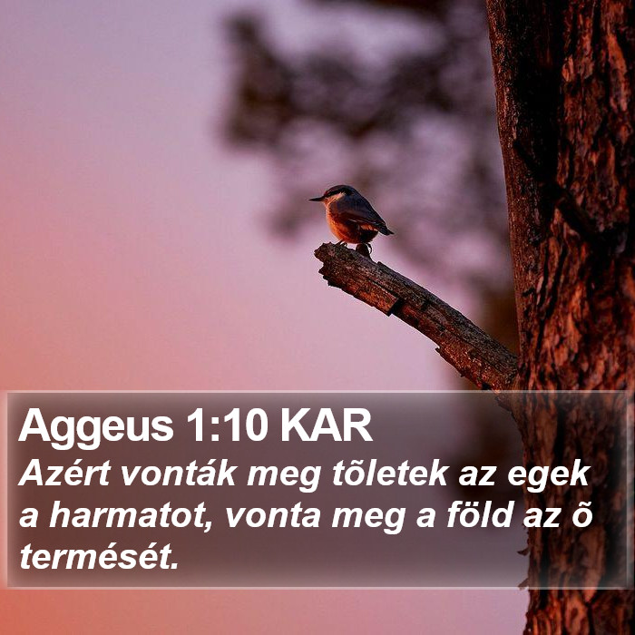 Aggeus 1:10 KAR Bible Study