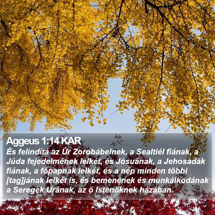 Aggeus 1:14 KAR Bible Study