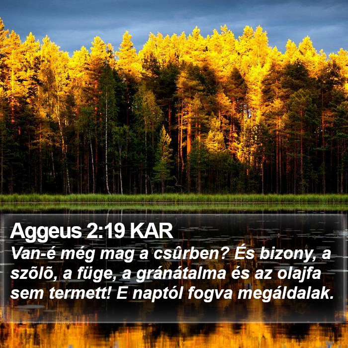 Aggeus 2:19 KAR Bible Study