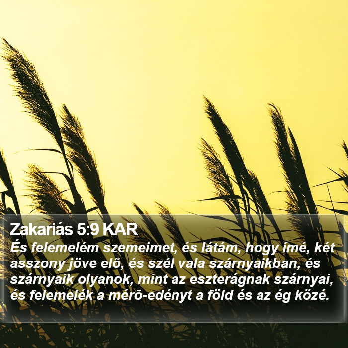 Zakariás 5:9 KAR Bible Study