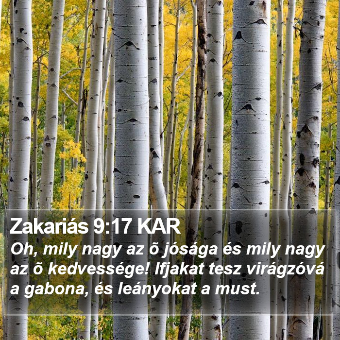 Zakariás 9:17 KAR Bible Study