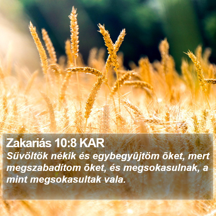 Zakariás 10:8 KAR Bible Study