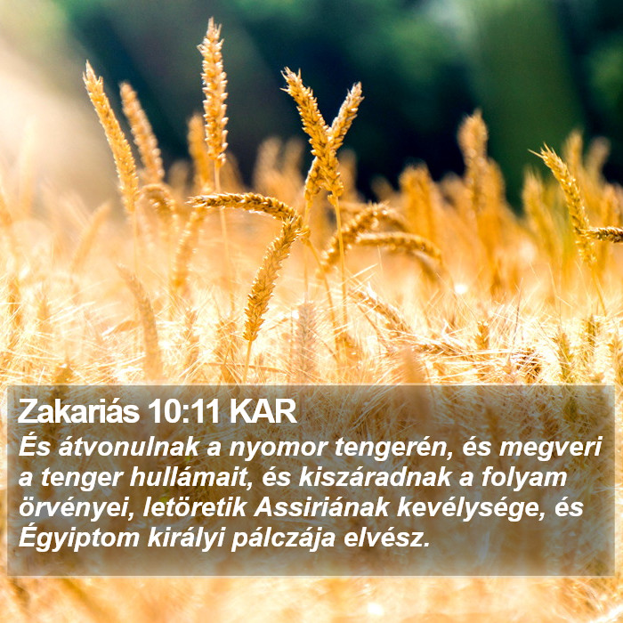 Zakariás 10:11 KAR Bible Study