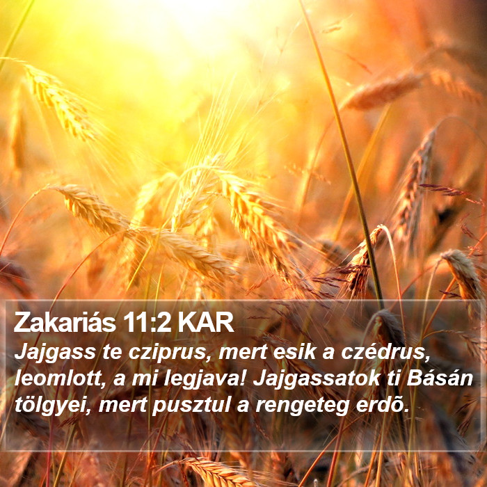 Zakariás 11:2 KAR Bible Study