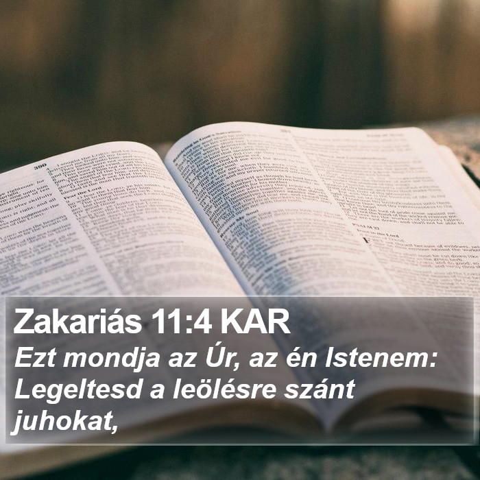 Zakariás 11:4 KAR Bible Study