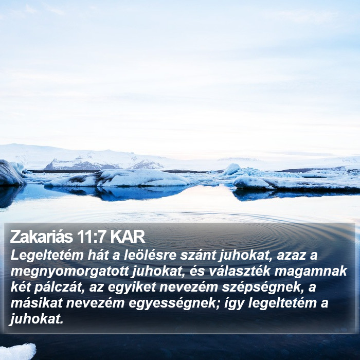 Zakariás 11:7 KAR Bible Study