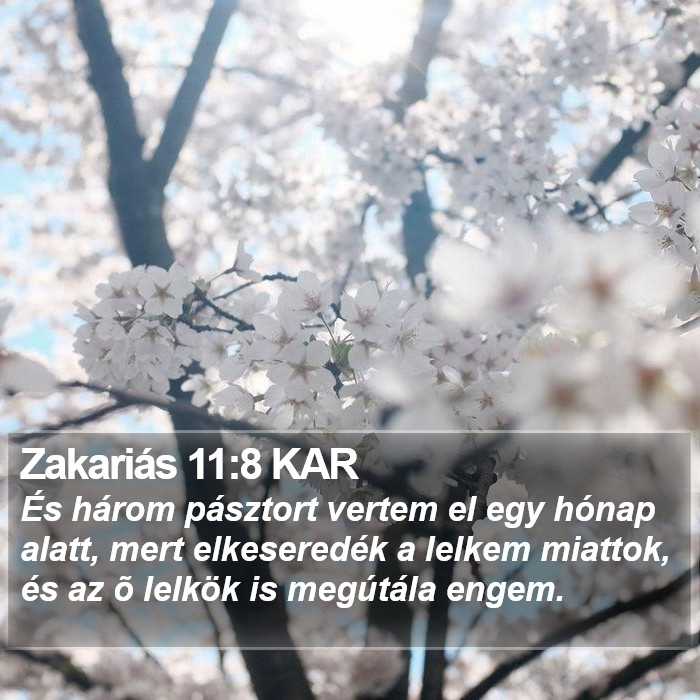 Zakariás 11:8 KAR Bible Study