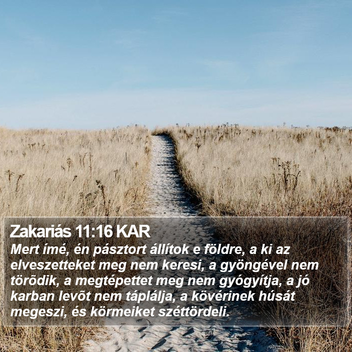Zakariás 11:16 KAR Bible Study