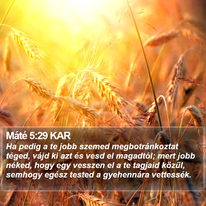 Máté 5:29 KAR Bible Study