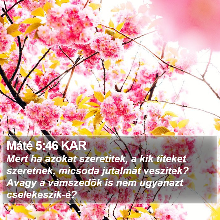 Máté 5:46 KAR Bible Study