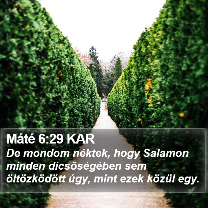 Máté 6:29 KAR Bible Study