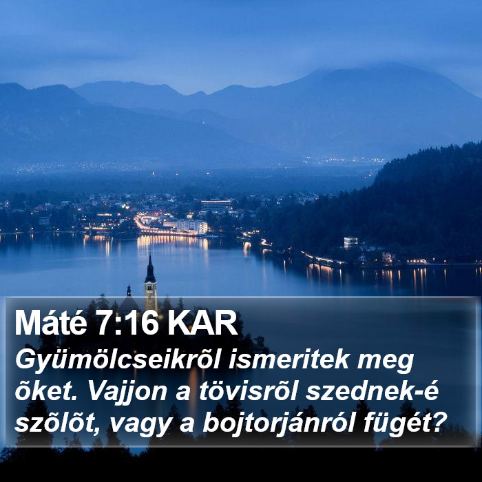 Máté 7:16 KAR Bible Study