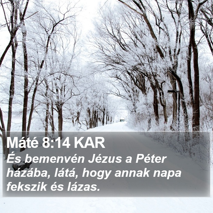 Máté 8:14 KAR Bible Study