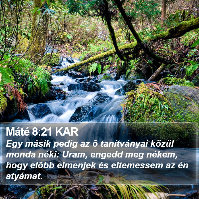 Máté 8:21 KAR Bible Study