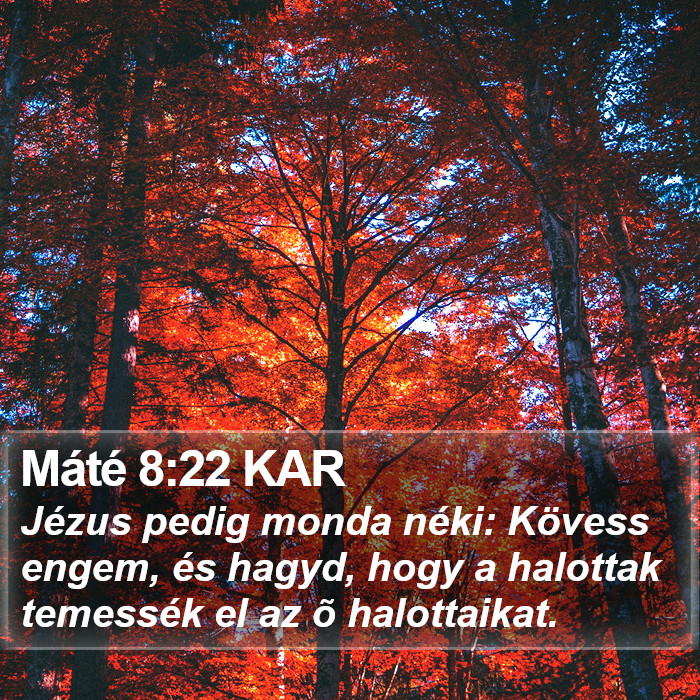 Máté 8:22 KAR Bible Study