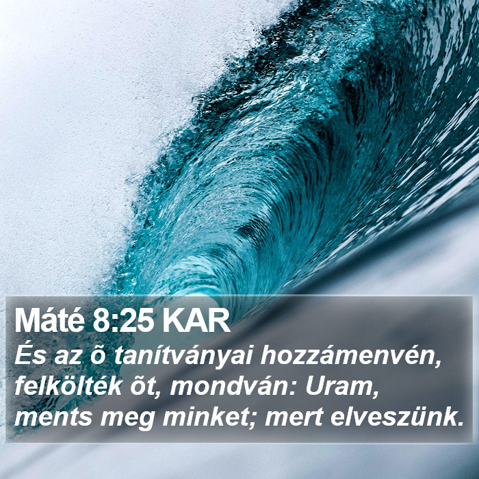 Máté 8:25 KAR Bible Study