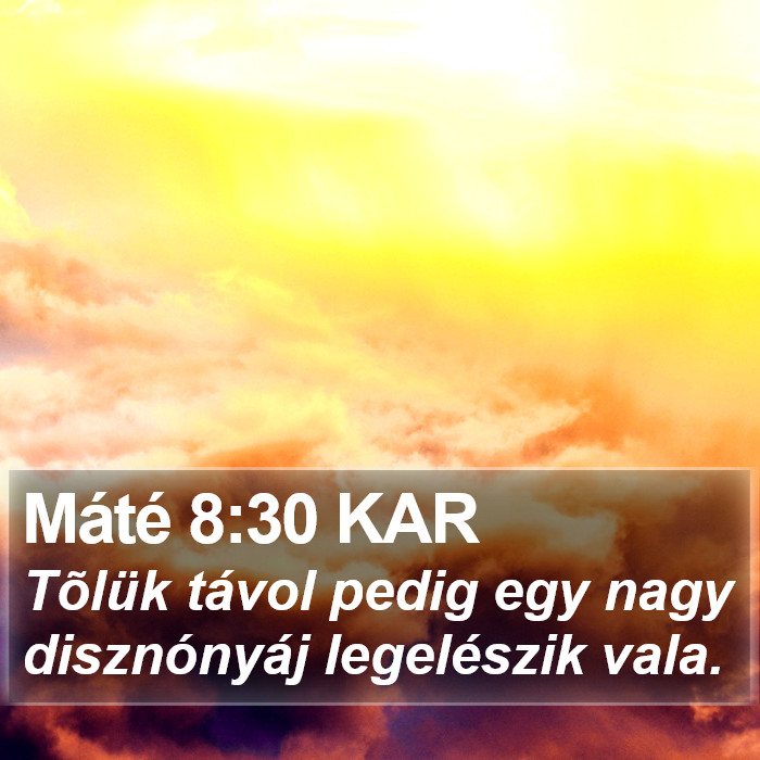 Máté 8:30 KAR Bible Study