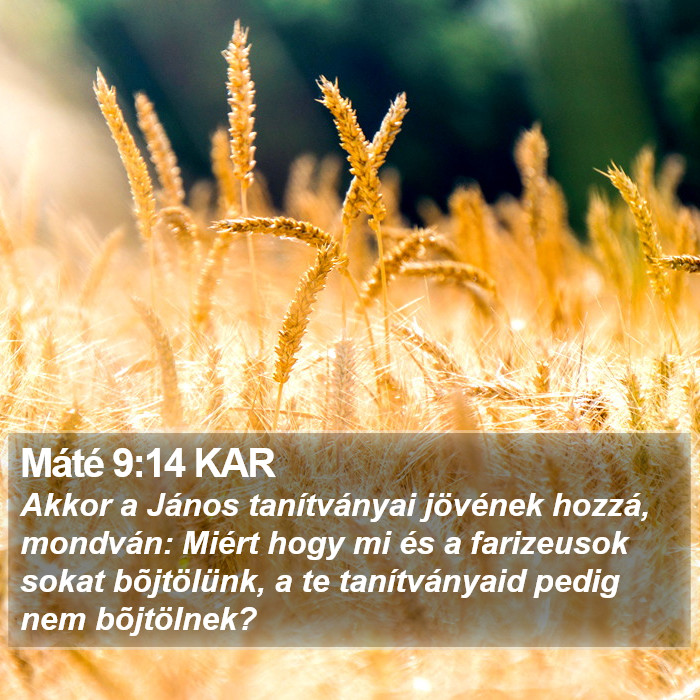 Máté 9:14 KAR Bible Study