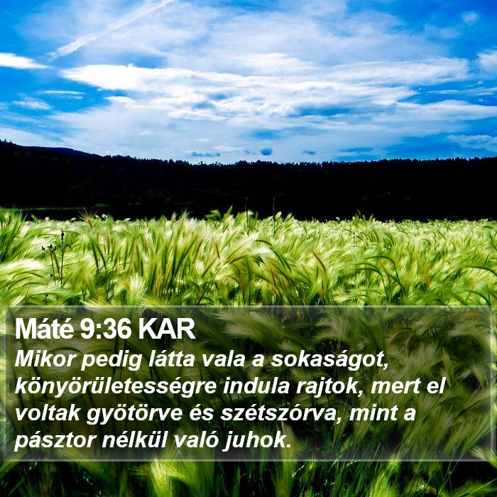 Máté 9:36 KAR Bible Study