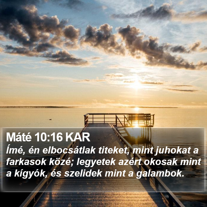 Máté 10:16 KAR Bible Study