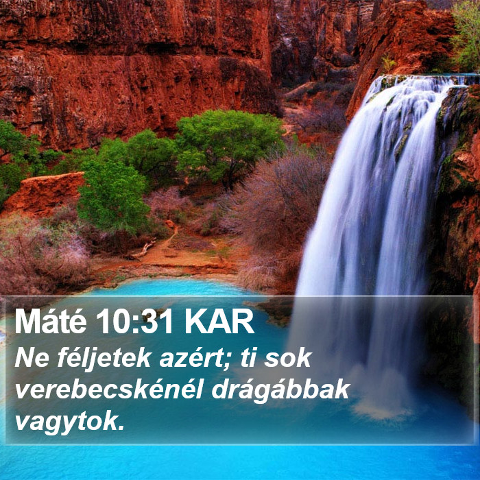 Máté 10:31 KAR Bible Study