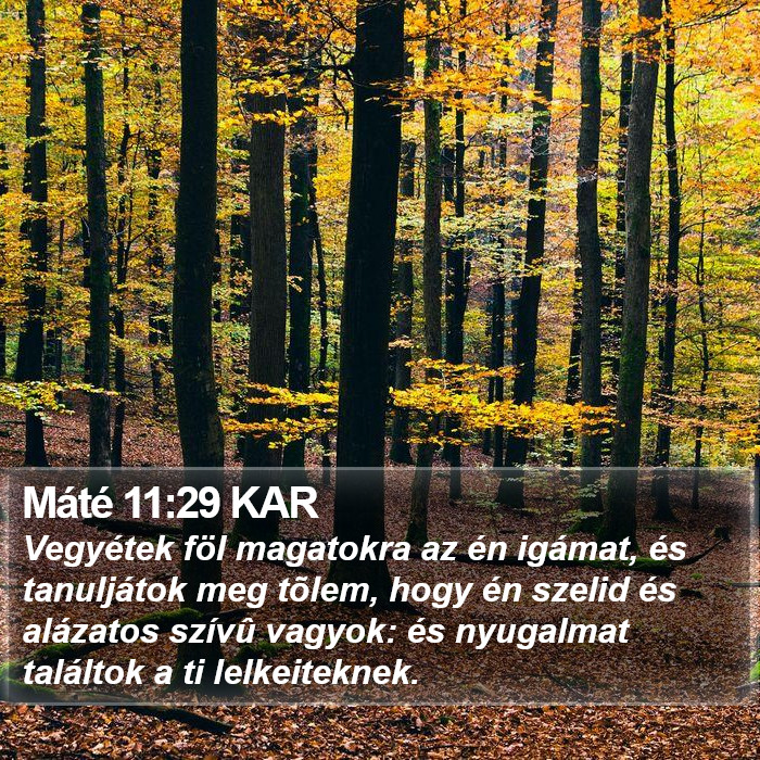 Máté 11:29 KAR Bible Study