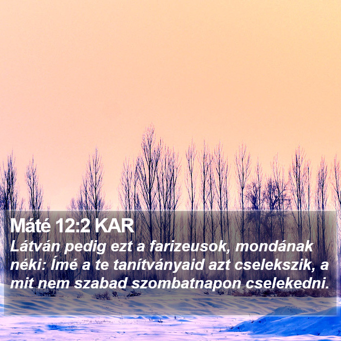 Máté 12:2 KAR Bible Study