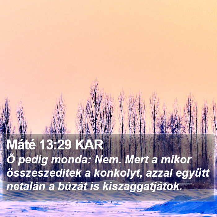 Máté 13:29 KAR Bible Study