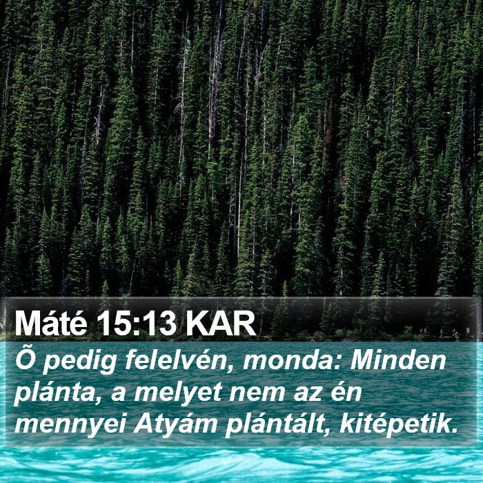 Máté 15:13 KAR Bible Study