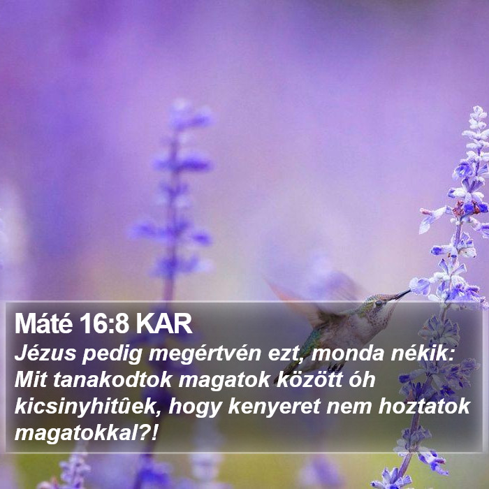 Máté 16:8 KAR Bible Study