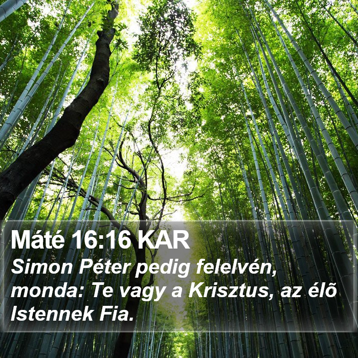 Máté 16:16 KAR Bible Study