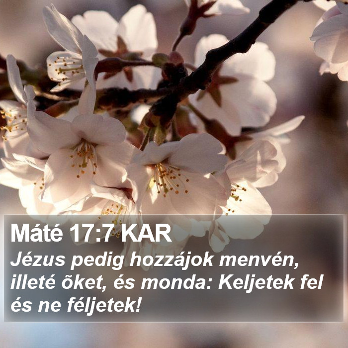 Máté 17:7 KAR Bible Study