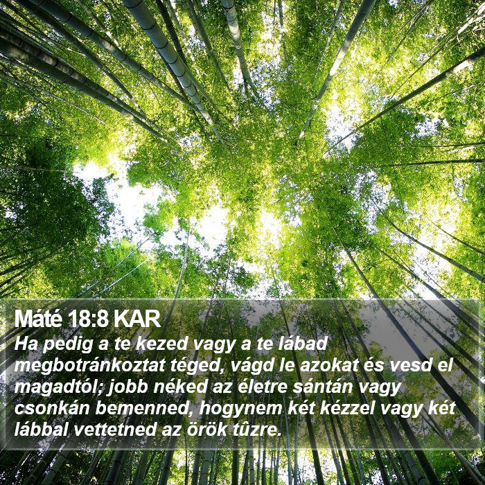 Máté 18:8 KAR Bible Study