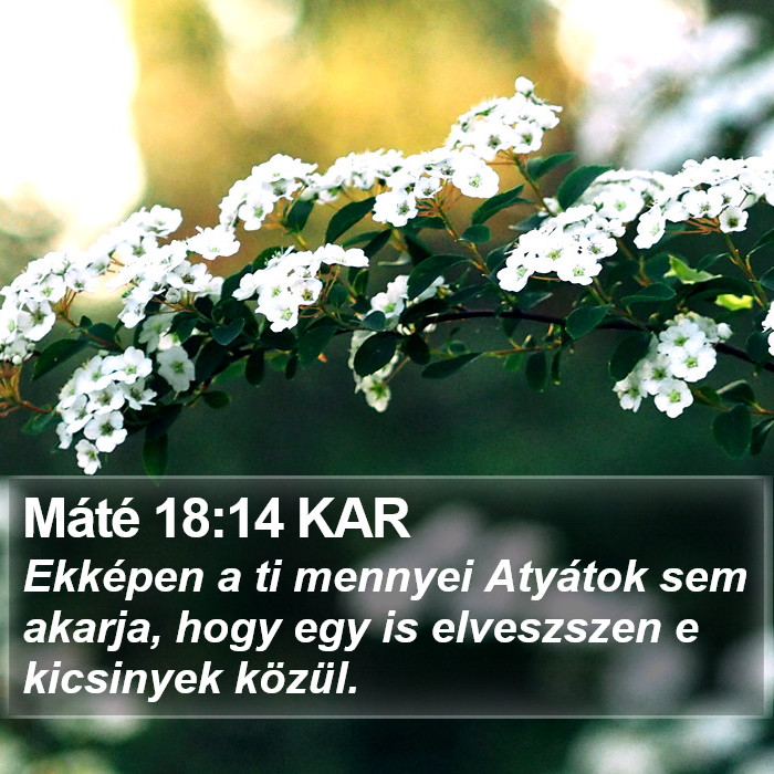 Máté 18:14 KAR Bible Study