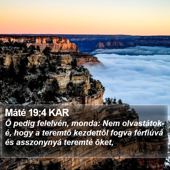 Máté 19:4 KAR Bible Study