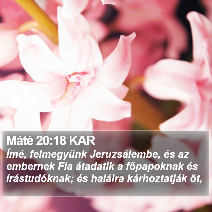 Máté 20:18 KAR Bible Study